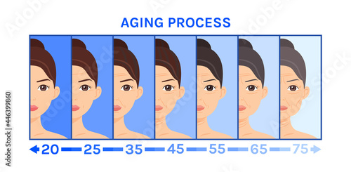 Aging Process of a Woman. Wrinkles, Sagging Skin, Age Related Changes on Half of Face. Face Correction. Brown, Gray Hair. Lady of Difference Ages. Image for medical design, beauty, education. Vector