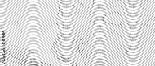 Abstract Background. Curve Digital pattern futuristic and Creative wave Movement Concept on Black and White.banner, poster,Copy Space-3d Rendering