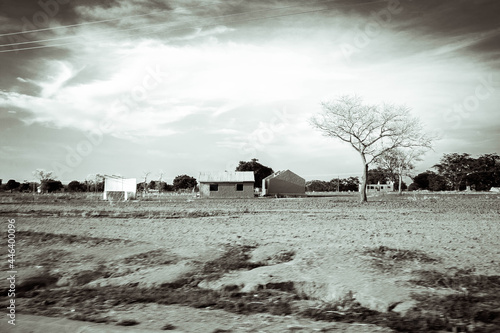 Landscape , field photo