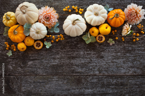 Dark wooden background with white and yellow pumpkins, dahlia flowers, hydrangea. Space for text congratulations for Thanksgiving and Halloween.