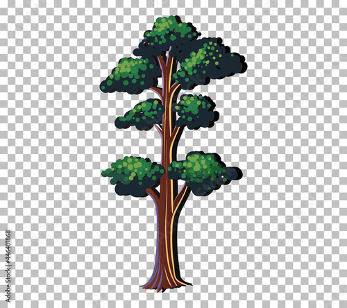 A tree with green leaves on transparent background