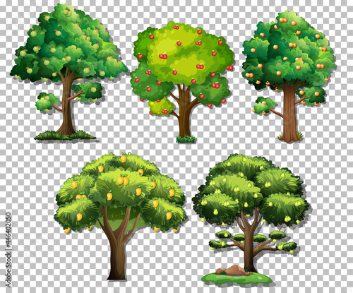 Set of different trees on transparent background