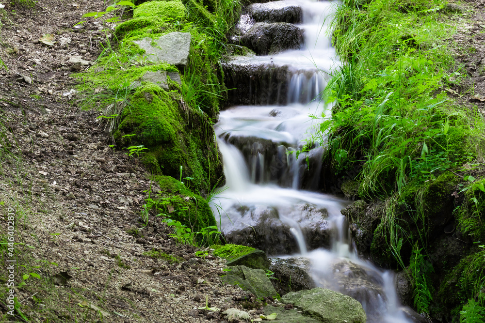 Obraz premium Magic forest waterfall. Cascade. Świeradów-Zdrój.