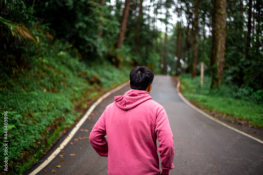 Tourist wearing a pink sweater walks in the middle of the road in the big forest. full of tall lush trees Tourist wearing a pink sweater walks in the middle of the road in the big forest. full of tall lush trees
