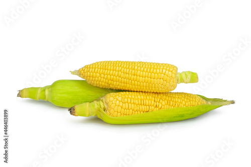 Fresh corn on isolated white background