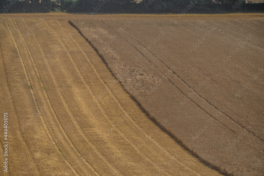 Naklejka premium Stoppelfeld