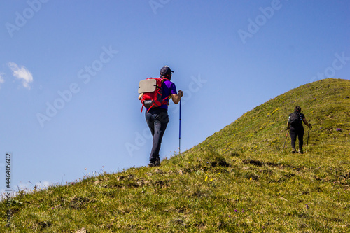 Two hikers climbing up the grassy hill together on summer during sunny clear day, rear view. Hiking, traveling with backpack, vacations, summer holidays concept. Faces not seen.
