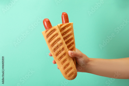 Concept of tasty food with french hot dog photo