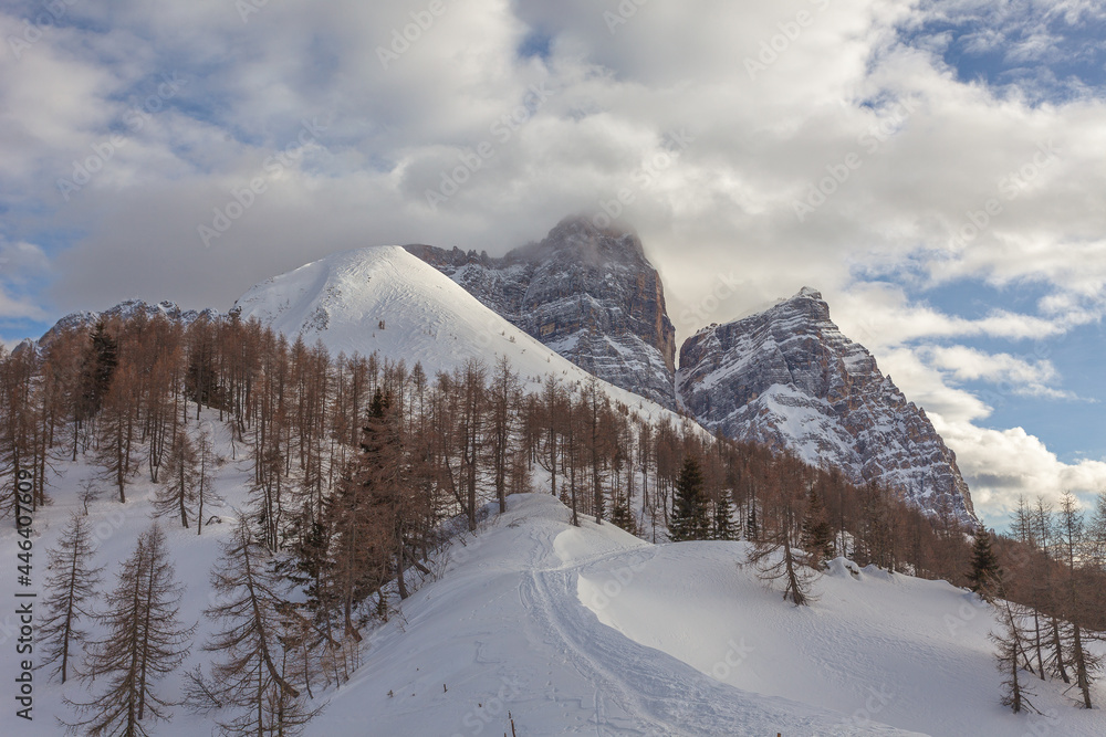 Beautiful winter panorama of northern side of Mount Pelmo behind a larch forest. Fiorentina Valley, Dolomites, Italy