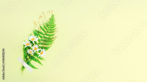 Nice little bouquet of rural chamomile flowers with fern on yellow background. Banner with copy space. Minimalistic design