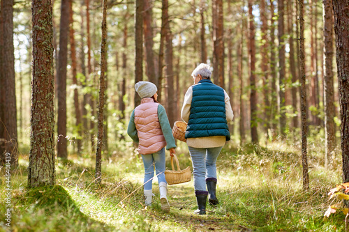 mushroom picking season, leisure and people concept - grandmother and granddaughter with baskets walking in forest