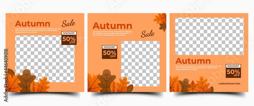 Autumn social media post template collection. Square banner with autumn leaves illustration.