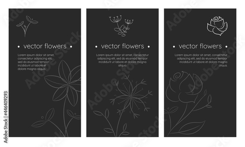 Elegant vector background for social media, banner, card with hand draw white flowers and leaves in linear style. Minimalism in nature