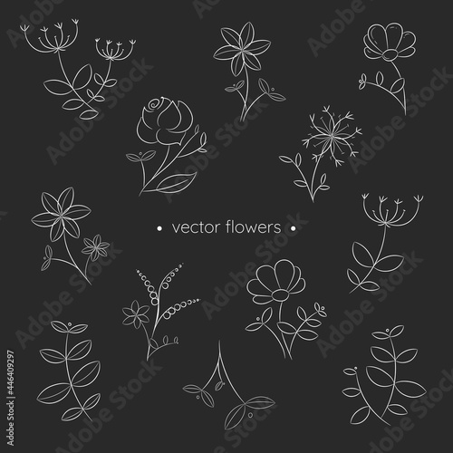 Hand drawn white flowers and leaves background. Black and white vector drawings in linear style. Minimalism in nature