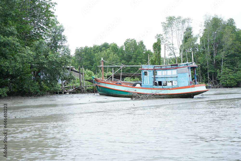 Sailing in the mangrove forest
