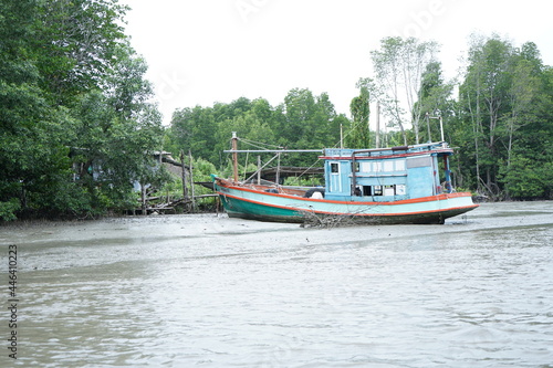 Sailing in the mangrove forest