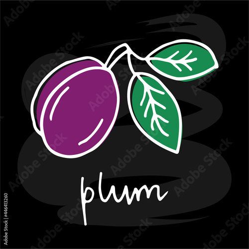 Vector illustration of a hand drawn plum with two leaves and handwritten text for banner, poster, menu, advertisement, clothes design. Doodle colorful drawing on black background
