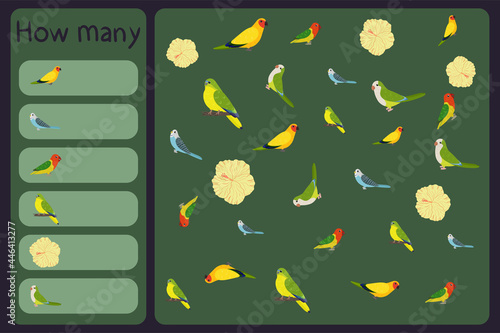 Kids mathematical mini game - count how many parrots and tropical florals - australian king, budgies, neophema, hibiscus. Educational games for children. Cartoon design template on colorful backdrop.