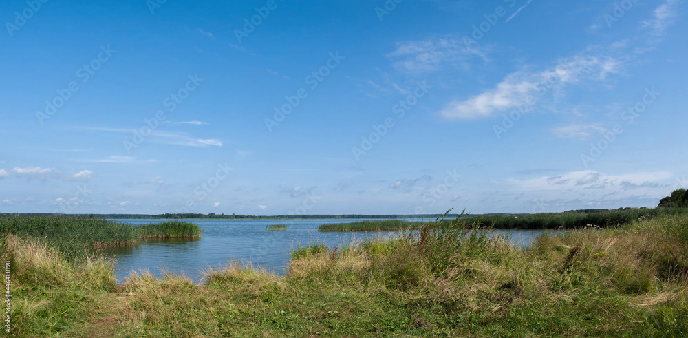 On the bank of the summer river