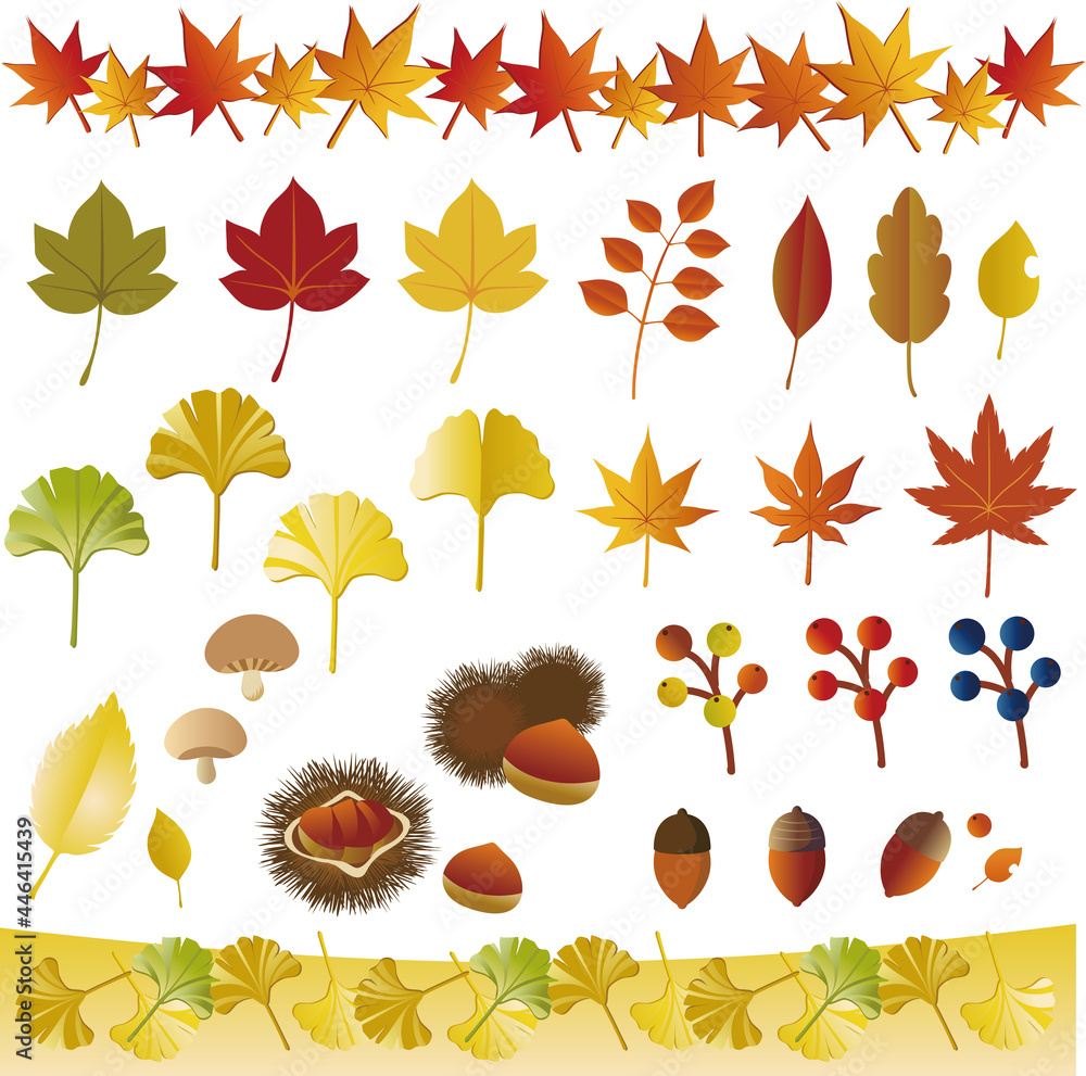 秋 イチョウ もみじ どんぐり 栗 葉 枯葉 植物 シンプル イラストセット Stock Vector Adobe Stock
