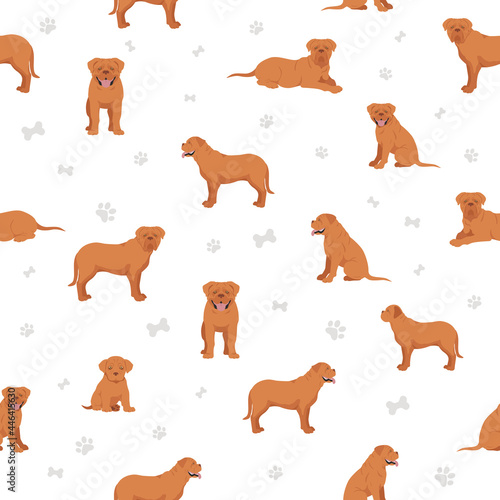 Bordeaux mastiff seamless pattern. Different coat colors and poses set