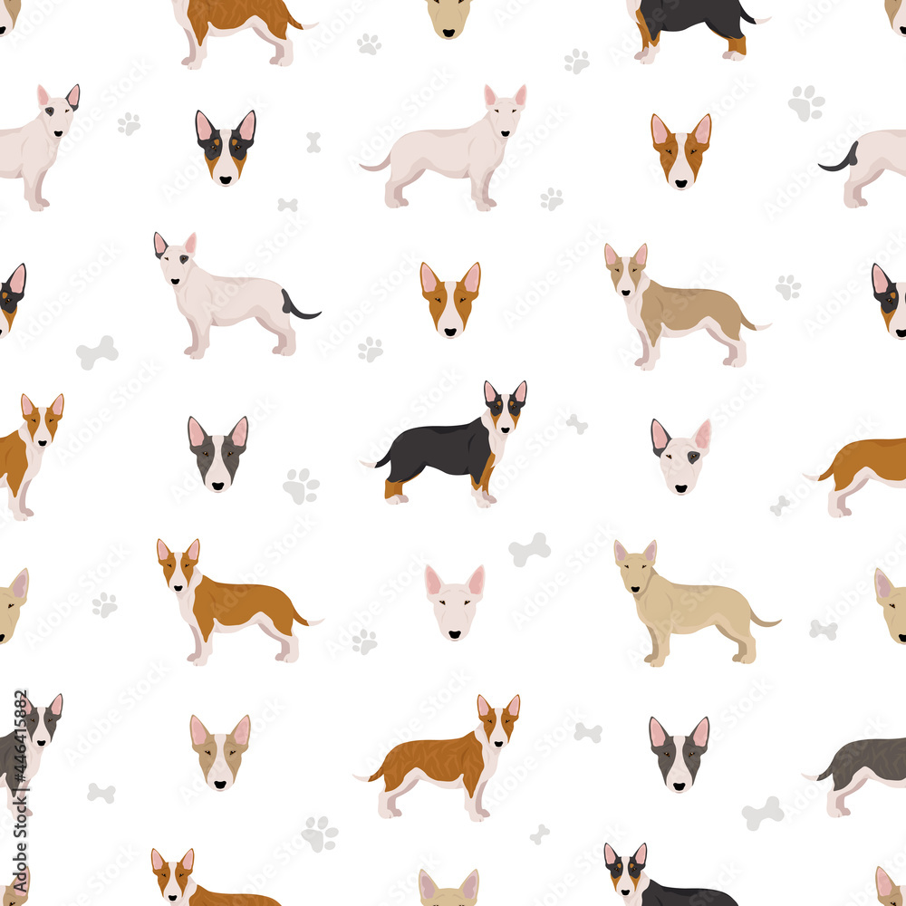 Miniature bull terrier seamless pattern. Different poses, coat colors set