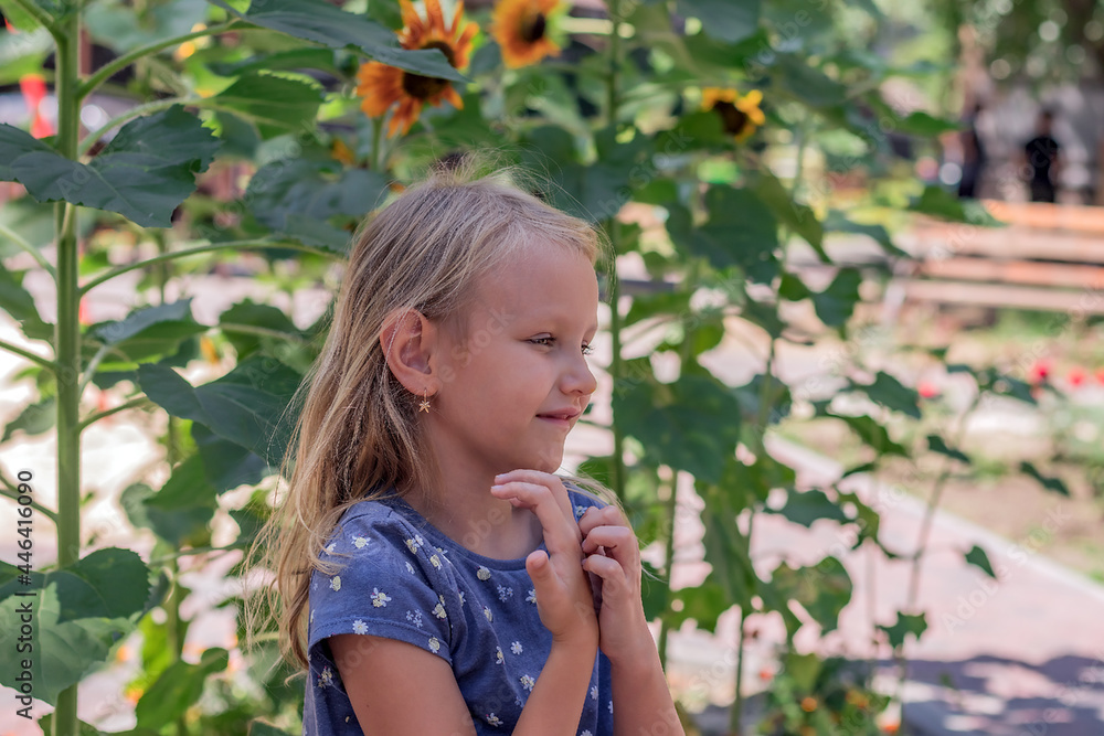 portrait of a little girl, European, blonde in profile, standing near sunflowers portrait of a little girl, European, blonde in profile, standing near sunflowers