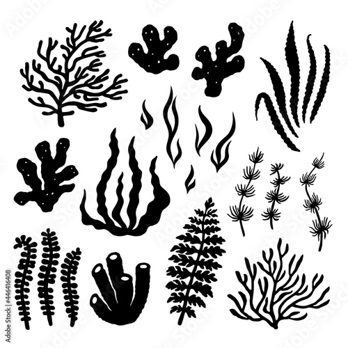 Summer time graphic. Underwater set of silhouettes for design. Flat vector illustration with isolated marine objects. Black shapes on a white background: seaweed, coral, reef, sea sponges