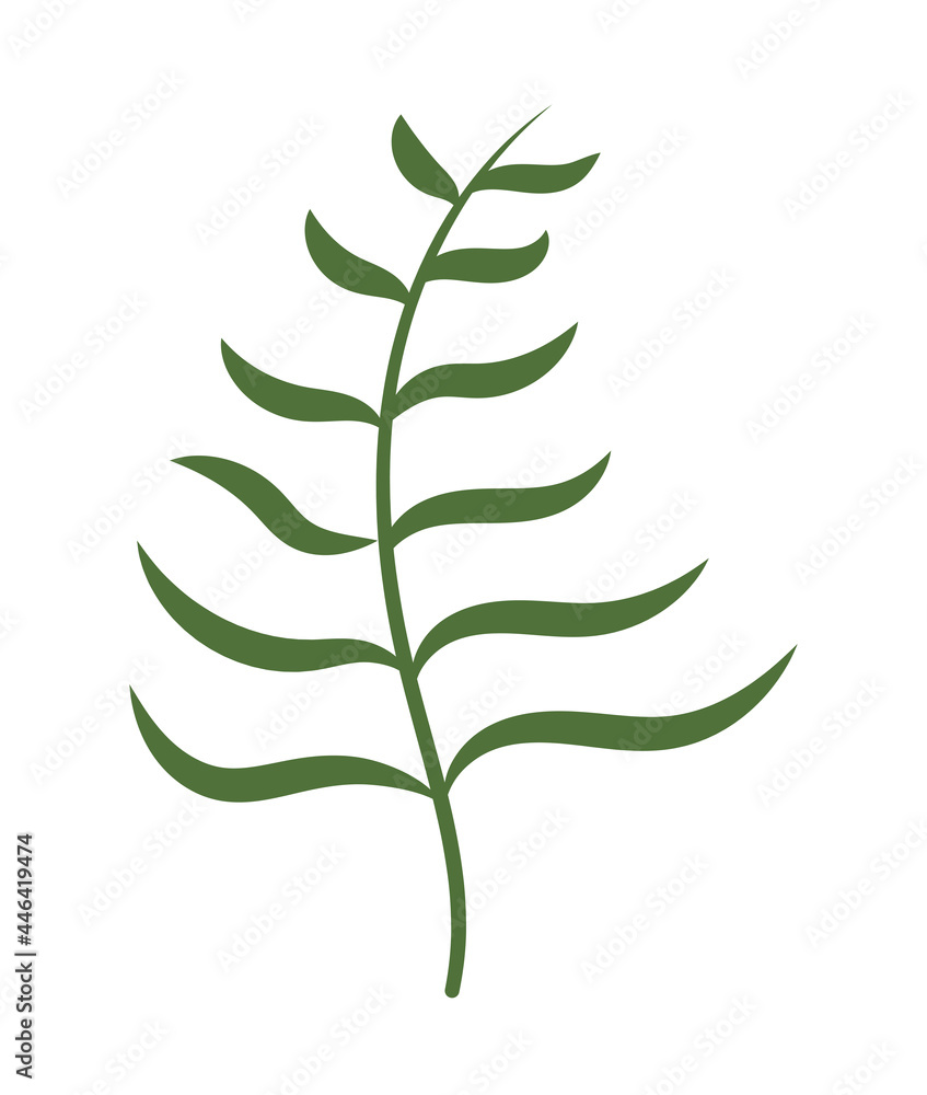 forest plant representation forest plant representation