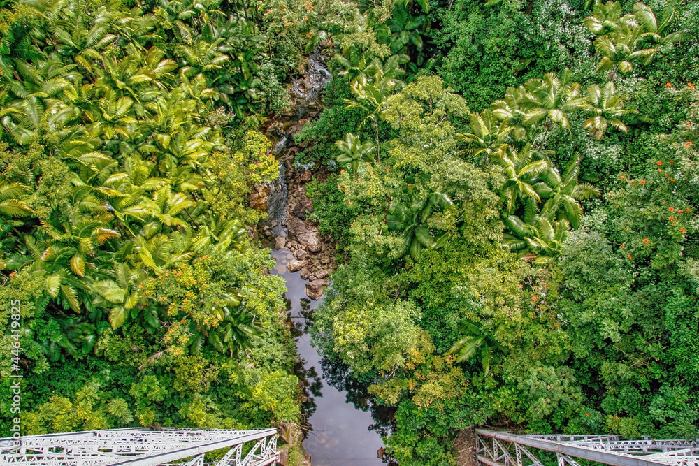 Small creek in the jungle of Big island. Hawaii. Small creek in the jungle of Big island. Hawaii.