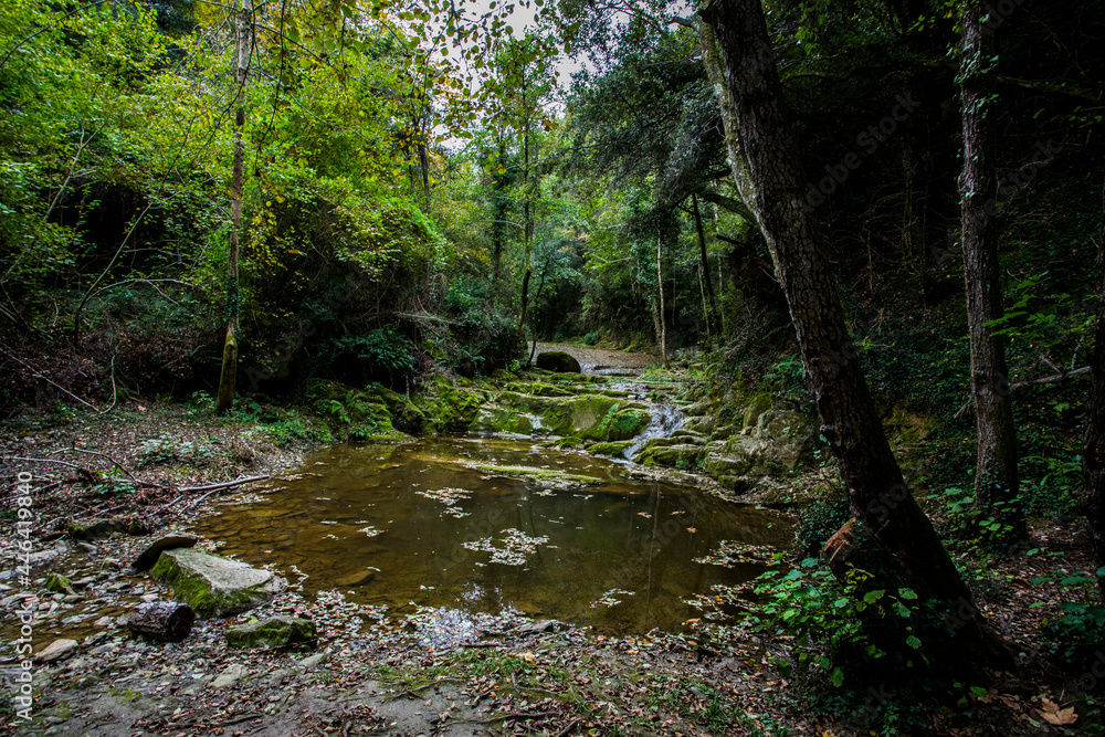 Autumn river in La Vall D En Bas, La Garrotxa, Spain