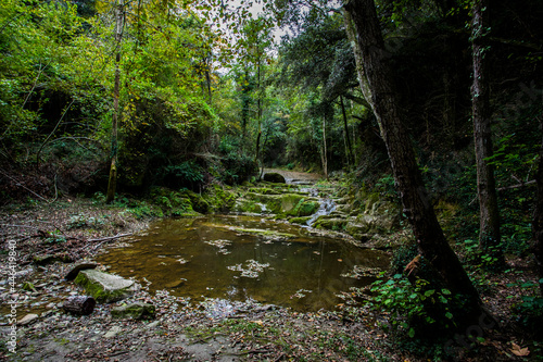 Autumn river in La Vall D En Bas  La Garrotxa  Spain