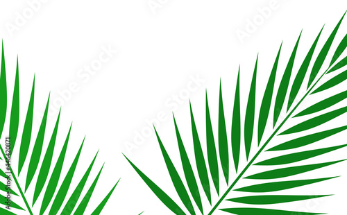 Green palm leaves border card.