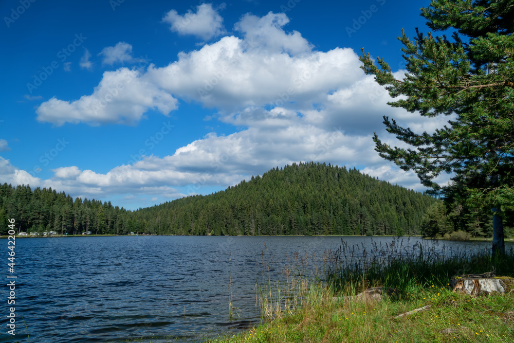 Lake and mountain landscape with forest and blue sky with clouds, Shiroka Polyana dam, Bulgaria