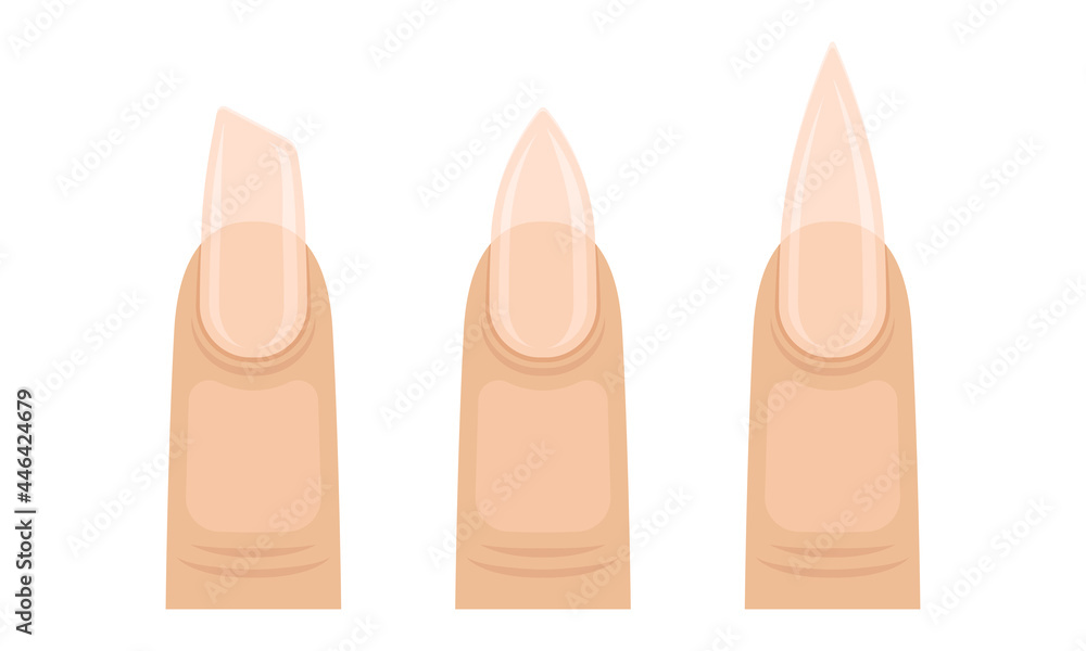 Female Finger with Nail Form and Shapes Vector Set Female Finger with Nail Form and Shapes Vector Set