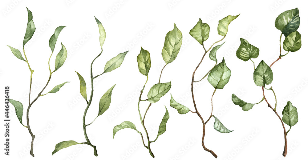 Set of watercolor hand painted green leaves on branches. Clip art isolated on white background. Realistic detailed botanical illustrations. Green plants collection Set of watercolor hand painted green leaves on branches. Clip art isolated on white background. Realistic detailed botanical illustrations. Green plants collection