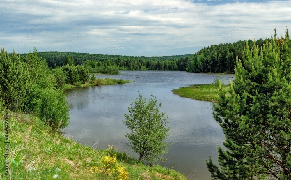 lake and forest