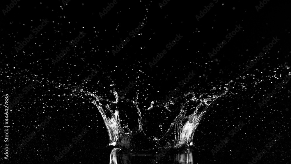 Freeze motion of water splash on black background.