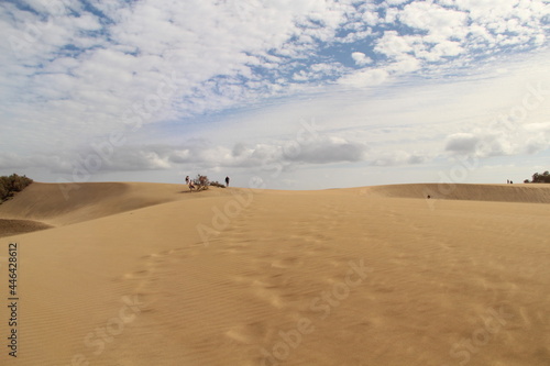 Desert dunes at the beach of Canary Islands