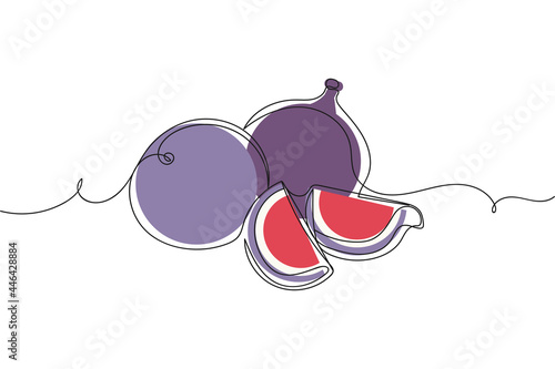Continuous one line of fresh fig fruit and slice organic food in silhouette on a white background. Linear stylized.Minimalist.