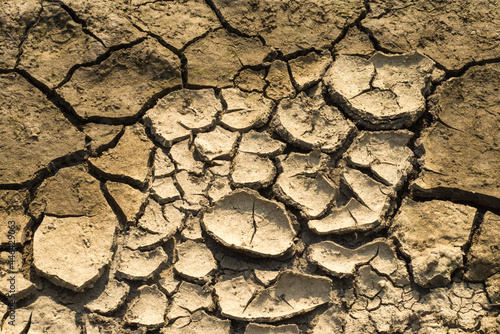 The cracked land texture. Draught and global warming concept