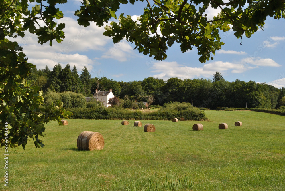 Fototapeta premium French Landscape View of Field & Trees with Hay Bales & Distant Building 