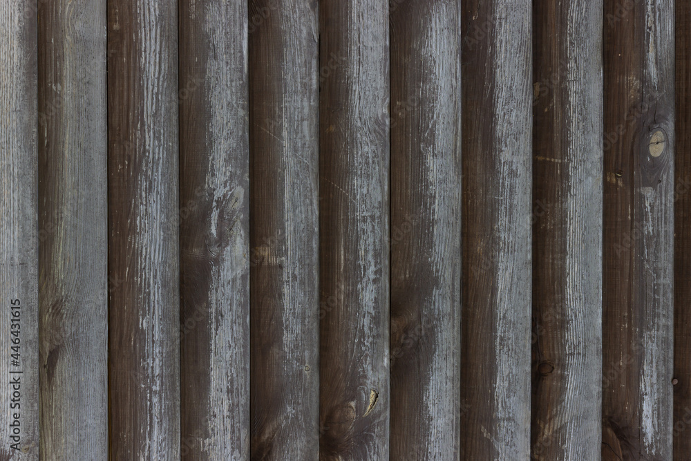 Gray pine log wall background. Beautiful surface. Wall from vertical logs. Gradient Gray pine log wall background. Beautiful surface. Wall from vertical logs. Gradient