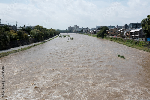 大雨で増水した鴨川