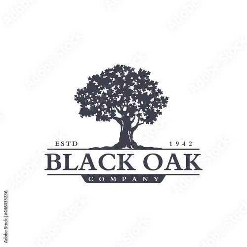 Oak Maple Tree Logo Design Vector Image