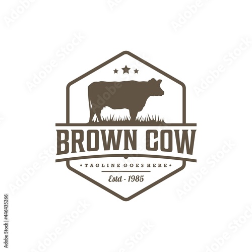 Cow Cattle Angus Livestock Logo Design Vector Image