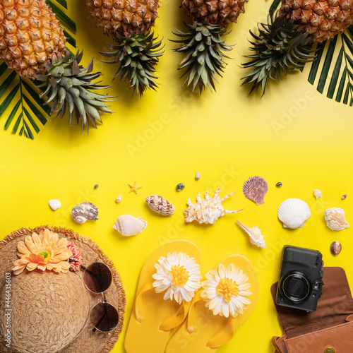 Summer fruit background design concept. Beach with shells, pineapple and palm leaves on yellow background.