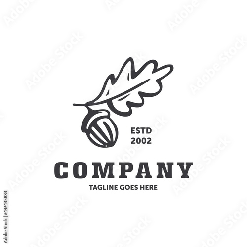 Acorn Fruit Seed Nut Logo Design Vector Image