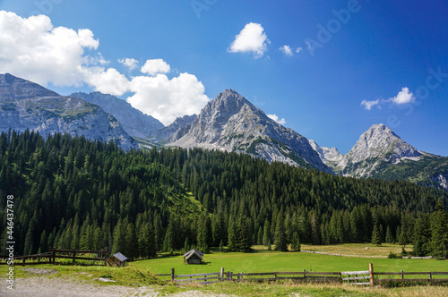 forest, mountains, clouds in the area near Ehrwalder Alm