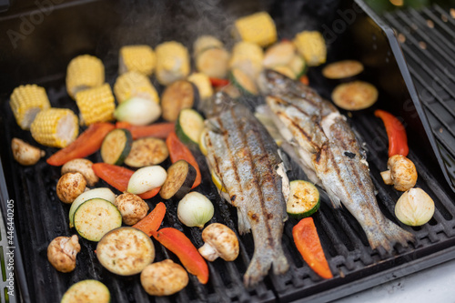 Vegetables and trout fish grilling on a gas grill, close-up